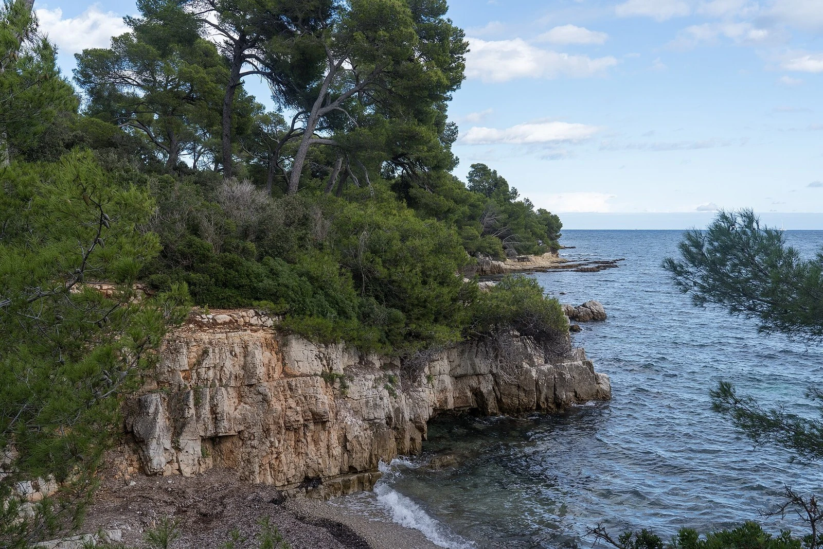 A cove on Sainte-Marguerite Island beneath a pine-topped limestone cliff